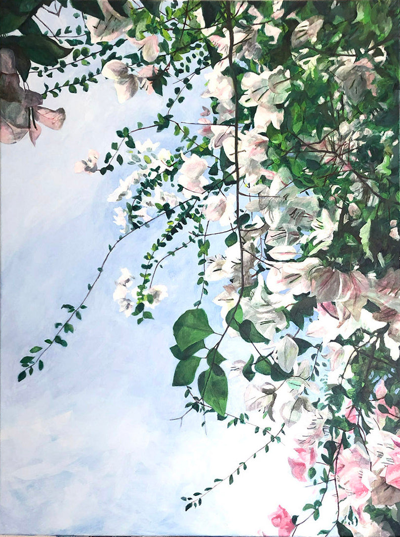 White Bougainvillea on a Hilltop - ORIGINAL PAINTING ON CANVAS