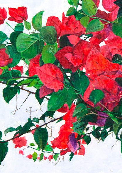 Bright Pink Bougainvillea (Vertical) - FINE ART PRINT ON PAPER