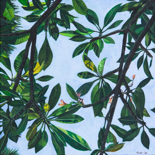 Leaves of Frangipani No. 1 - FINE ART PRINT ON PAPER