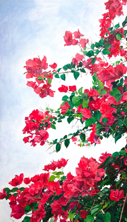 Bright Pink Bougainvillea (Vertical) - FINE ART PRINT ON PAPER