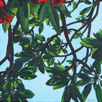 Leaves of Frangipani No.2  - FINE ART PRINT ON PAPER