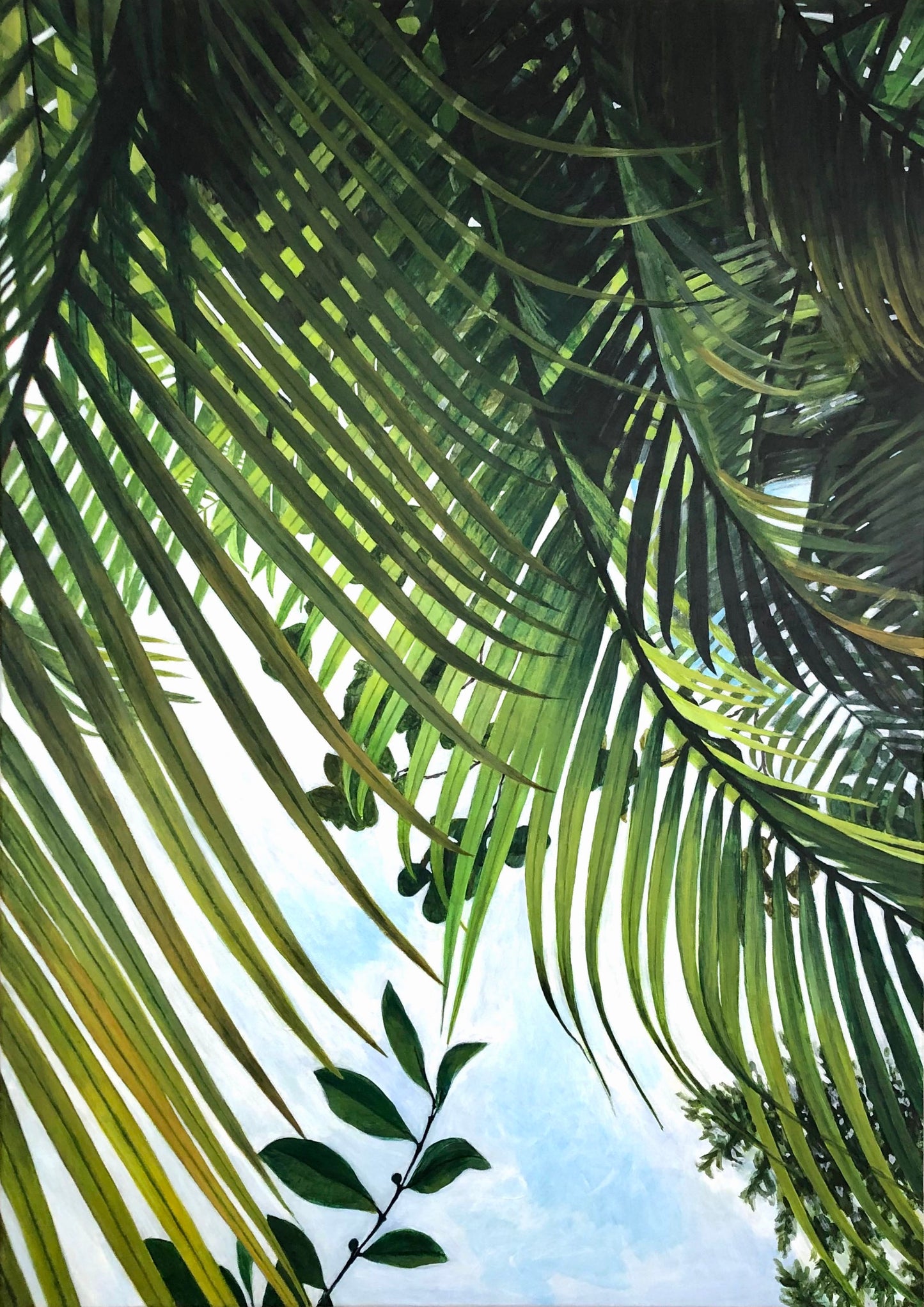 Looking up at the sky through layers of leaves  - FINE ART PRINT ON PAPER