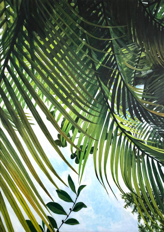 Looking up at the sky through layers of leaves  - FINE ART PRINT ON PAPER