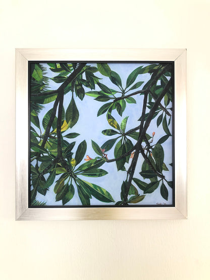 Leaves of Frangipani No. 1 - FINE ART PRINT ON PAPER