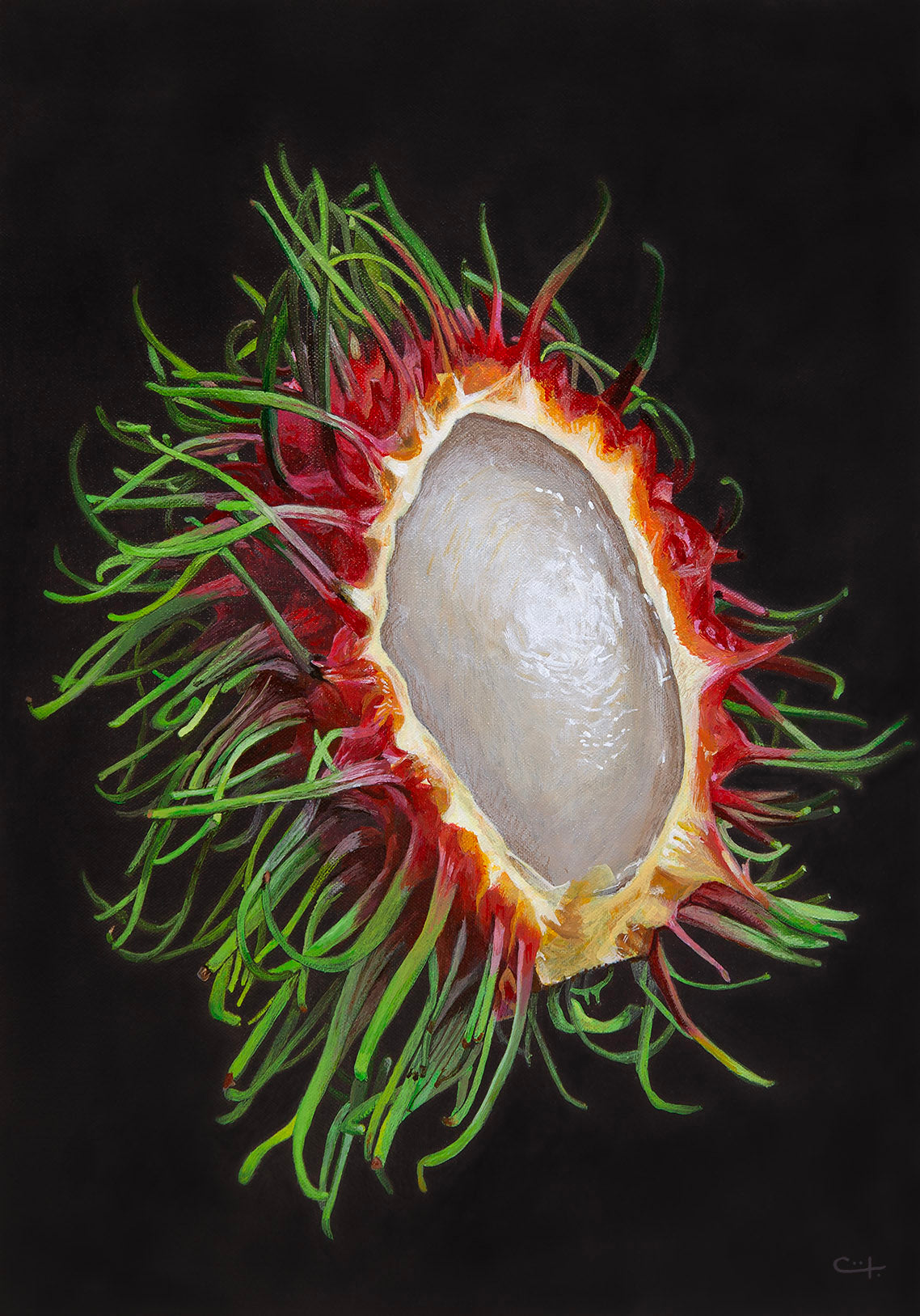 Peeled Rambutan - FINE ART PRINT ON PAPER