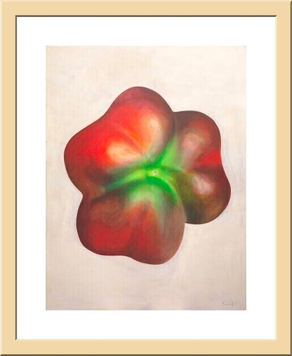 Baby Paprika  - FINE ART PRINT ON PAPER