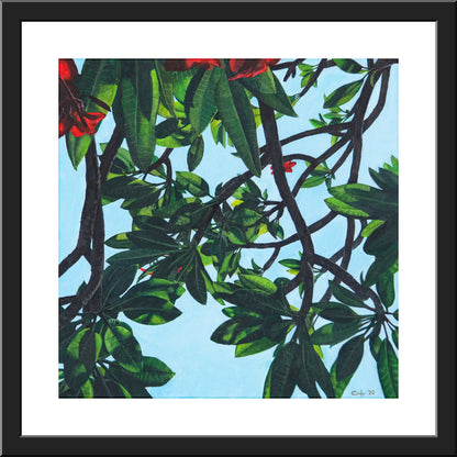 Leaves of Frangipani No.2  - FINE ART PRINT ON PAPER