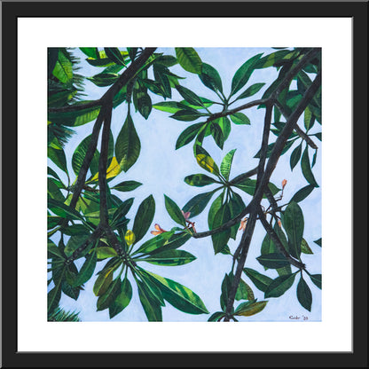 Leaves of Frangipani No. 1 - FINE ART PRINT ON PAPER