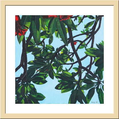 Leaves of Frangipani No.2  - FINE ART PRINT ON PAPER