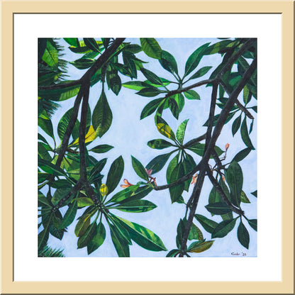 Leaves of Frangipani No. 1 - FINE ART PRINT ON PAPER