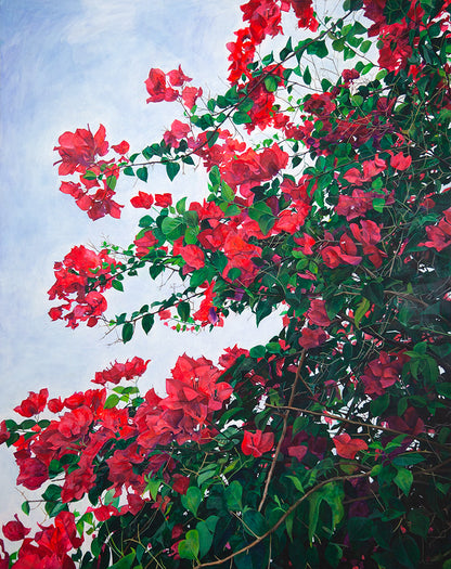 Bright Pink Bougainvillea (Full Frame) - FINE ART PRINT ON PAPER